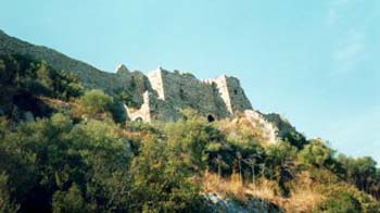 photo7